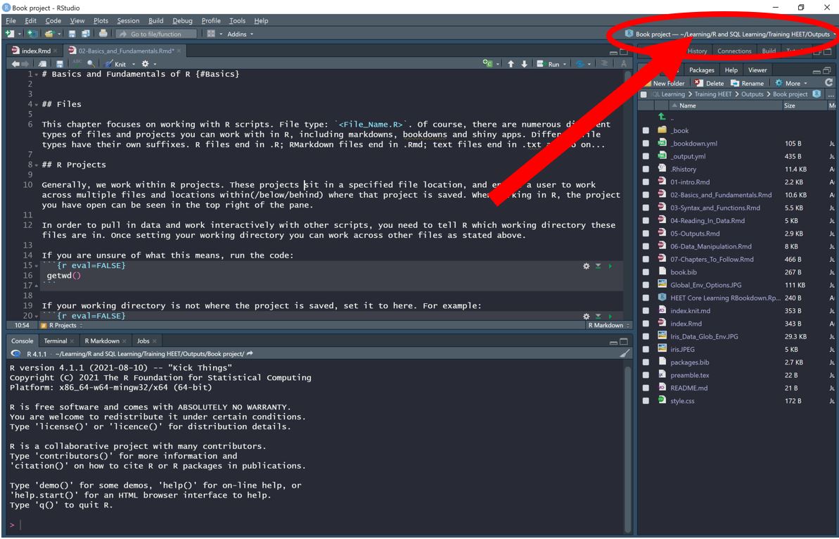 2 Basics of R | An R Training Resource