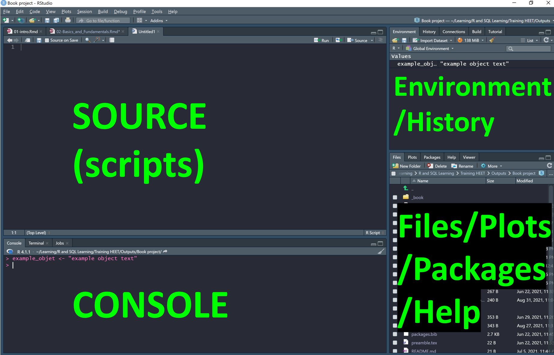 2 Basics of R | An R Training Resource